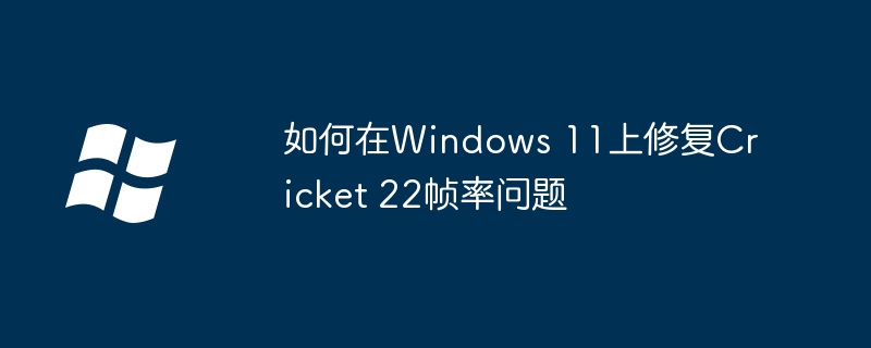 2024年如何在Windows 11上修复Cricket 22帧率问题