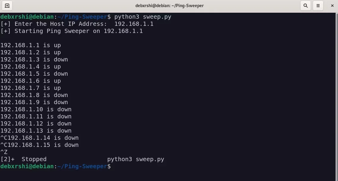 2024年如何在Python中构建Ping Sweeper