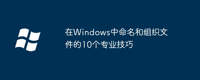 2024年在Windows中命名和组织文件的10个专业技巧