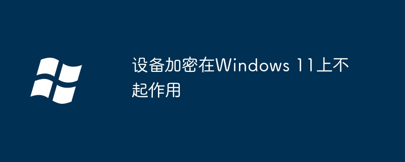 2024年设备加密在Windows 11上不起作用