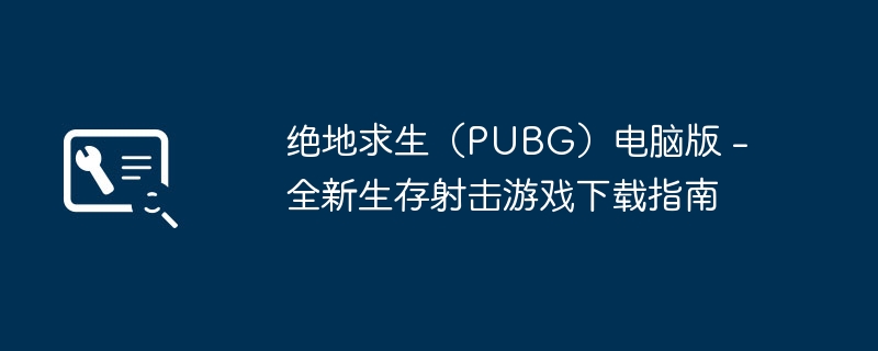 2024年绝地求生（PUBG）电脑版 - 全新生存射击游戏下载指南