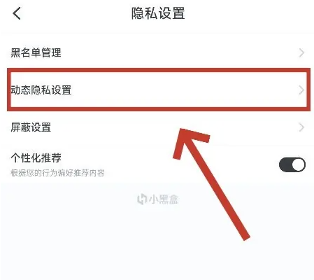 2024年小黑盒怎么设置动态隐私