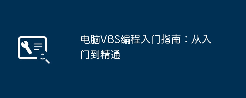 2024年电脑VBS编程入门指南：从入门到精通