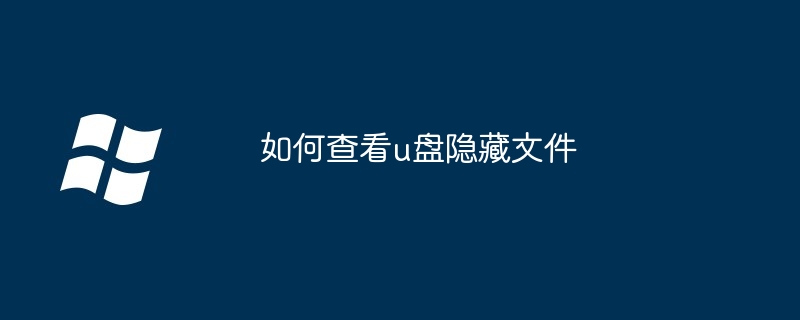 2024年如何查看u盘隐藏文件