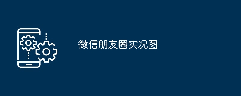 2024年微信朋友圈实况图