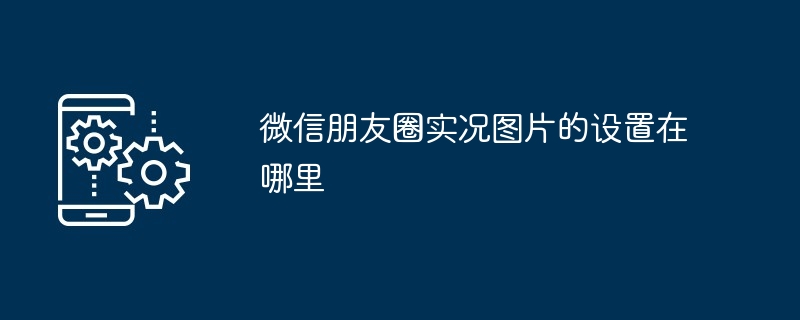 2024年微信朋友圈实况图片的设置在哪里