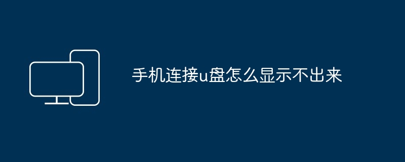 2024年手机连接u盘怎么显示不出来