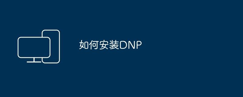 2024年如何安装DNP