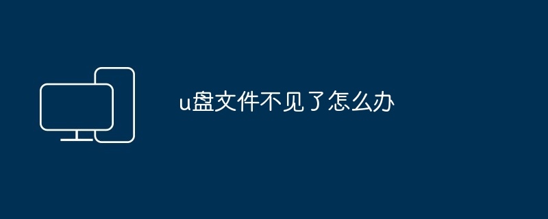 2024年u盘文件不见了怎么办