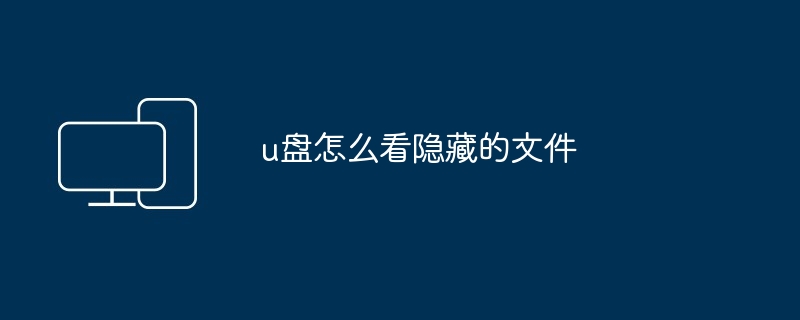 2024年u盘怎么看隐藏的文件