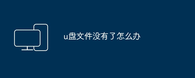 2024年u盘文件没有了怎么办