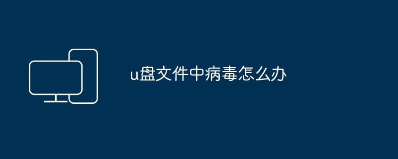 2024年u盘文件中病毒怎么办