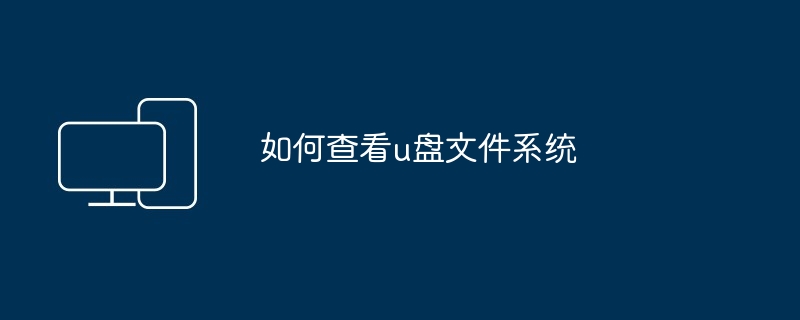 2024年如何查看u盘文件系统