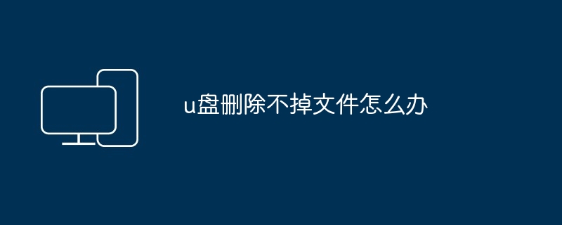 2024年u盘删除不掉文件怎么办