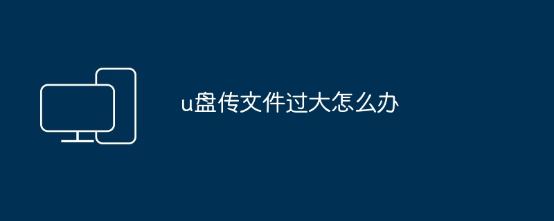 2024年u盘传文件过大怎么办