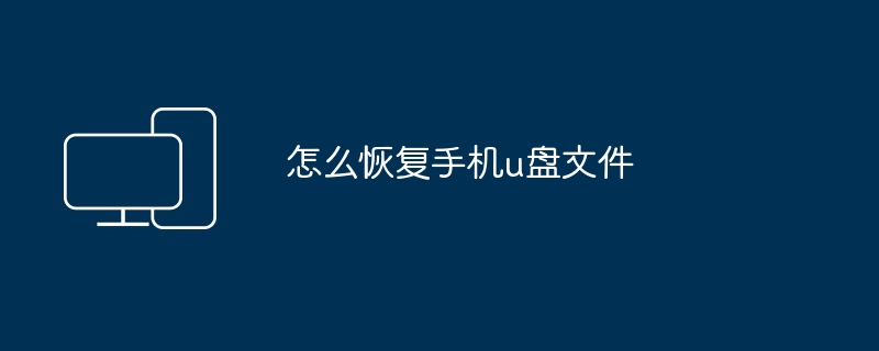 2024年怎么恢复手机u盘文件