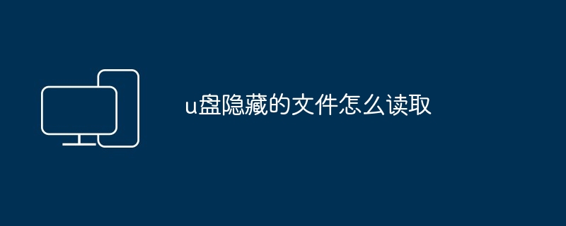 2024年u盘隐藏的文件怎么读取