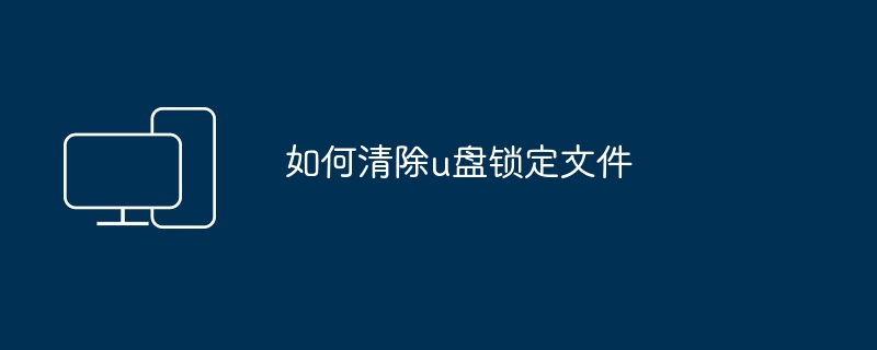 2024年如何清除u盘锁定文件