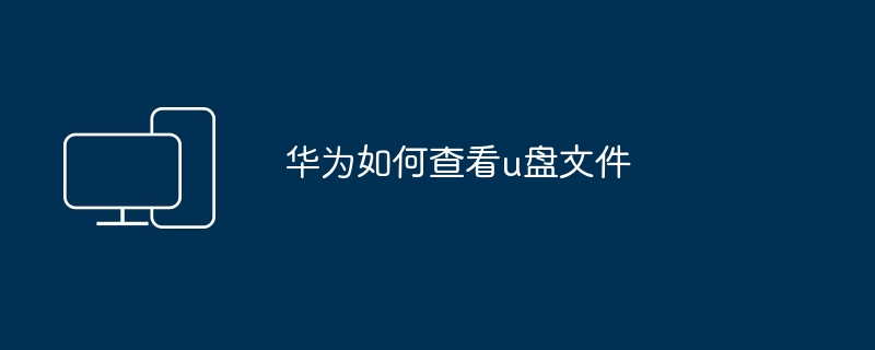 2024年华为如何查看u盘文件