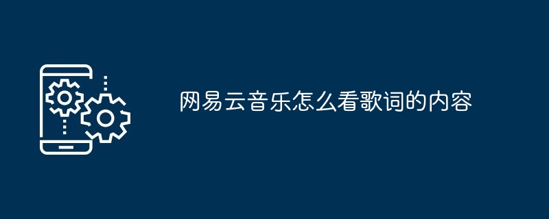 2024年网易云音乐怎么看歌词的内容