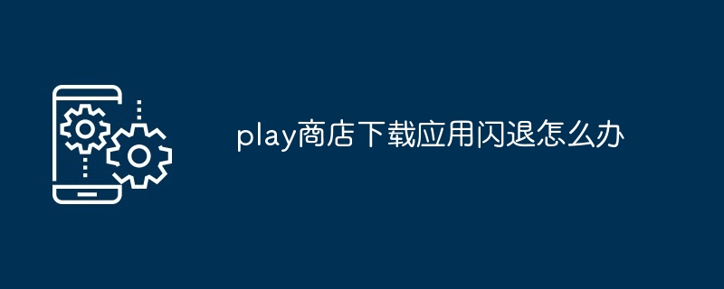 2024年play商店下载应用闪退怎么办