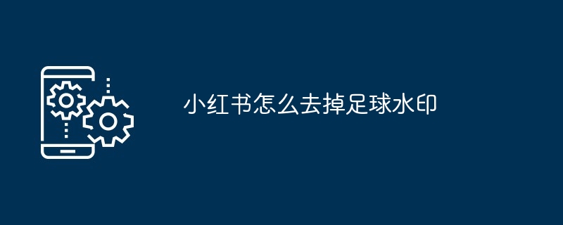 2024年小红书怎么去掉足球水印