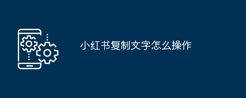 2024年小红书复制文字怎么操作