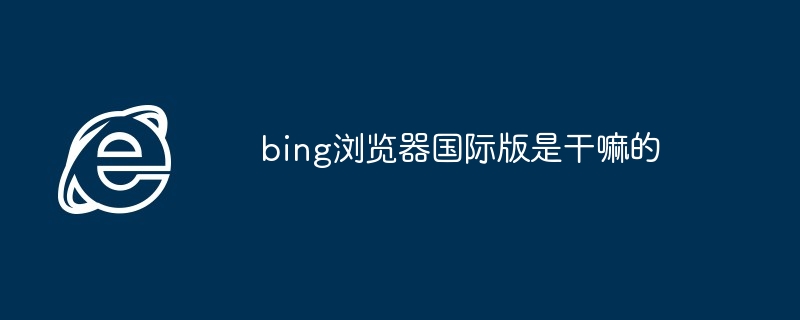 2024年bing浏览器国际版是干嘛的