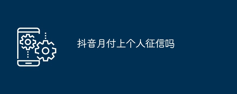 2024年抖音月付上个人征信吗