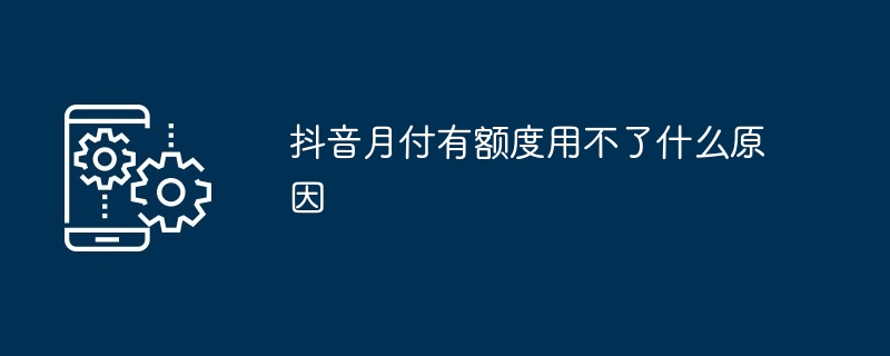 2024年抖音月付有额度用不了什么原因