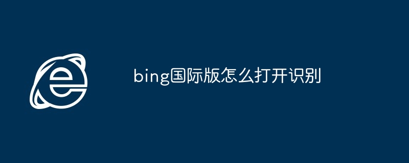 2024年bing国际版怎么打开识别