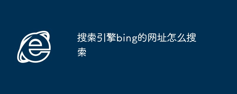 2024年搜索引擎bing的网址怎么搜索