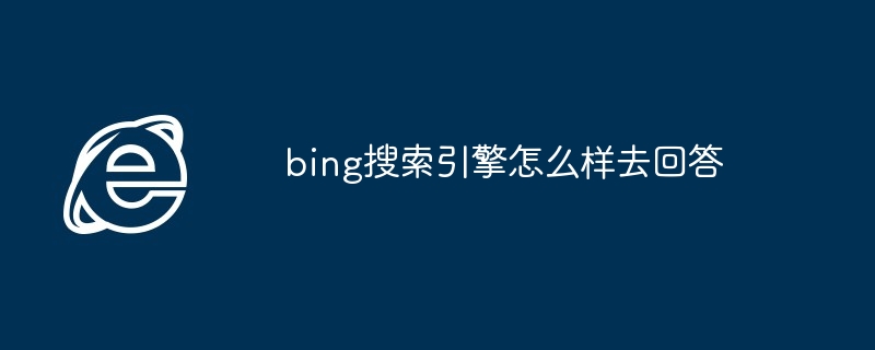 2024年bing搜索引擎怎么样去回答