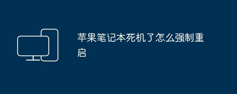 2024年苹果笔记本死机了怎么强制重启