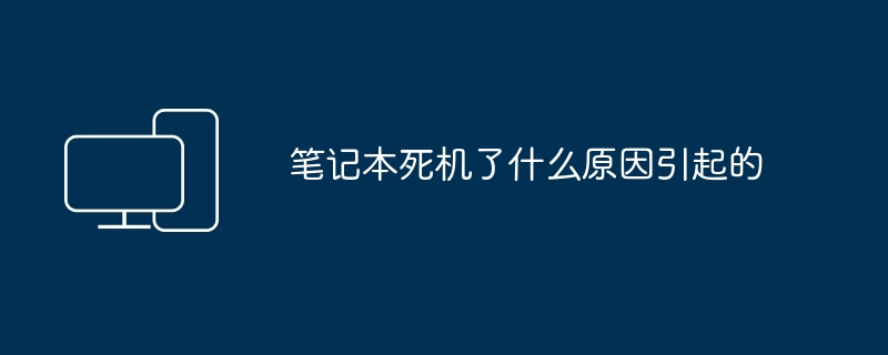 2024年笔记本死机了什么原因引起的