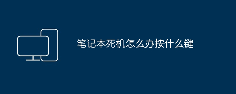 2024年笔记本死机怎么办按什么键