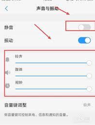 2024年vivo手机无声故障处理方法