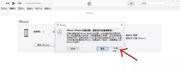 2024年iPhone13失去信号服务怎么办