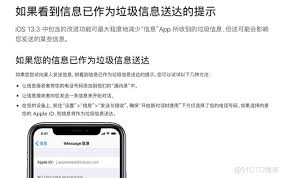 2024年本机iPhone应用程序iMessage缺失怎么办