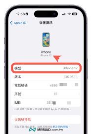 2024年iphone型号如何查询