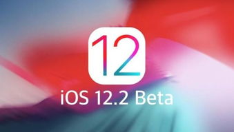 2024年iOS17.5如何设置AppleCash虚拟卡号