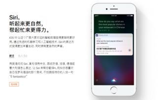 2024年ios11如何调整字体大小