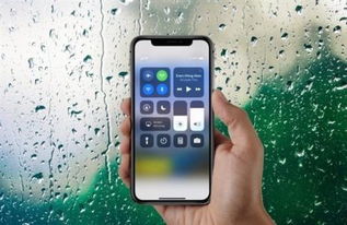 2024年iphone11中引导式访问怎么开启