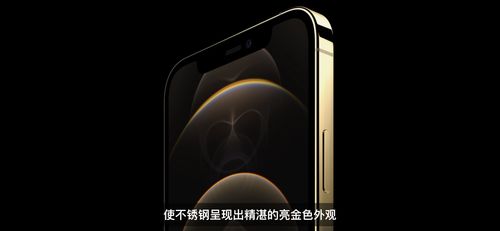 2024年iPhone11 Pro Max如何禁用Siri应用建议