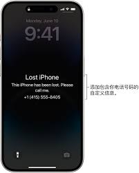 2024年如何在未携带苹果设备时查找iPhone序列号