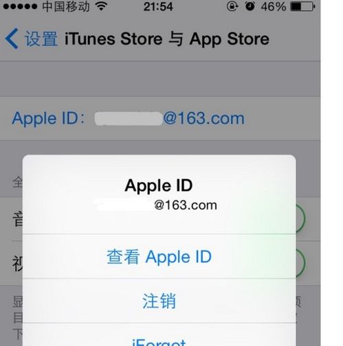 2024年AppleID改名为AppleAccount的原因是什么