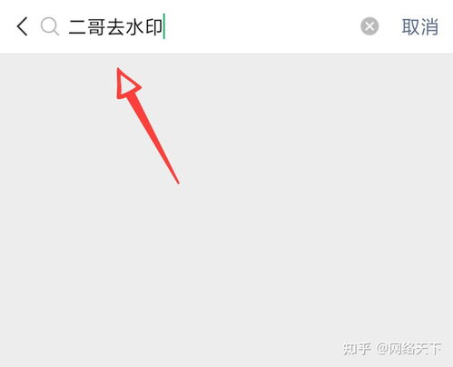 2024年小红书与抖音的区别是什么
