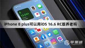 2024年iOS16.6RC与正式版更新差异解析