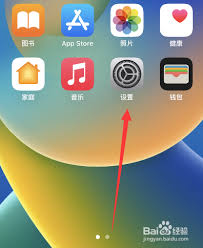 2024年iOS 14能否设置两个面容ID？